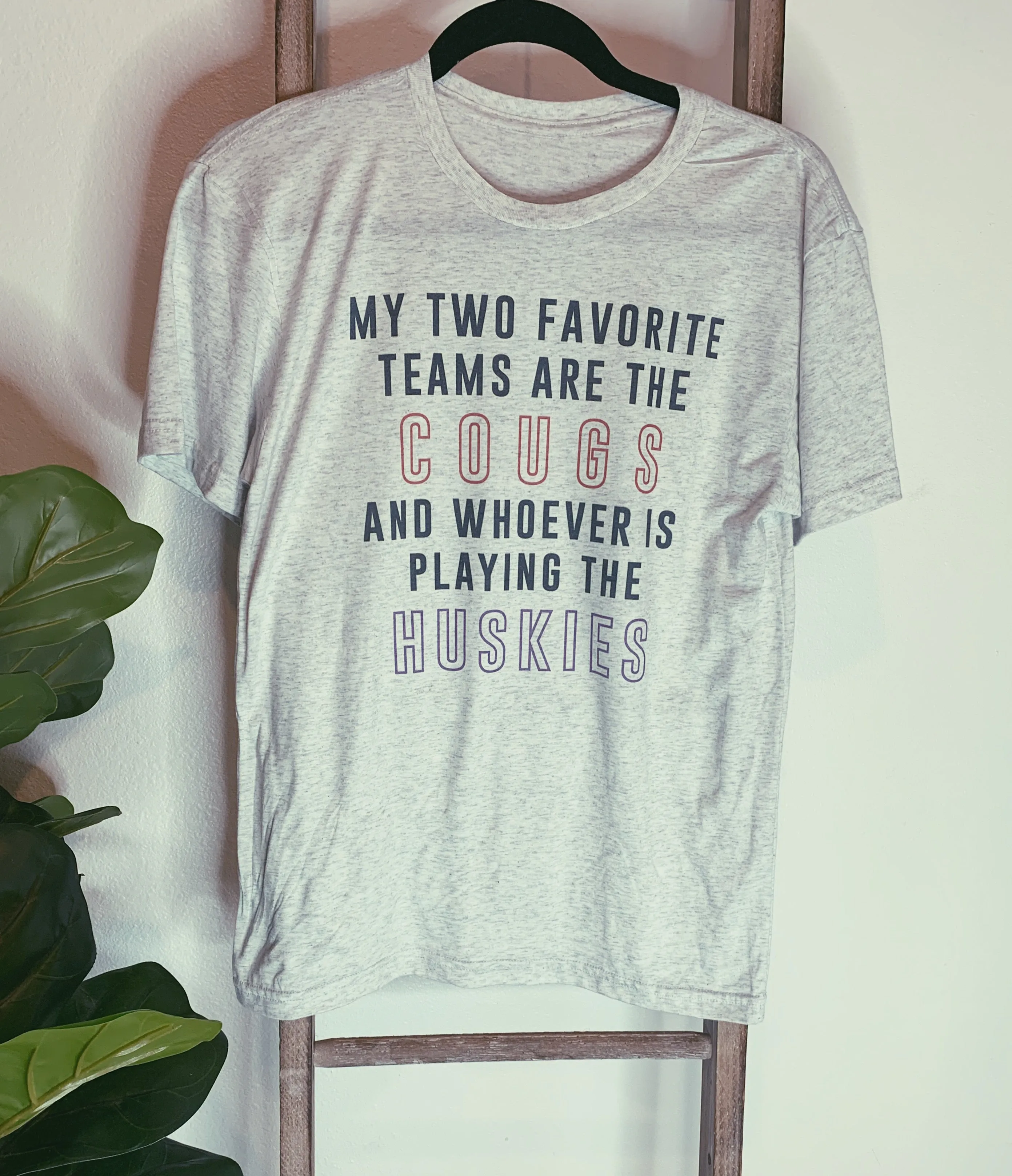 Favorite team