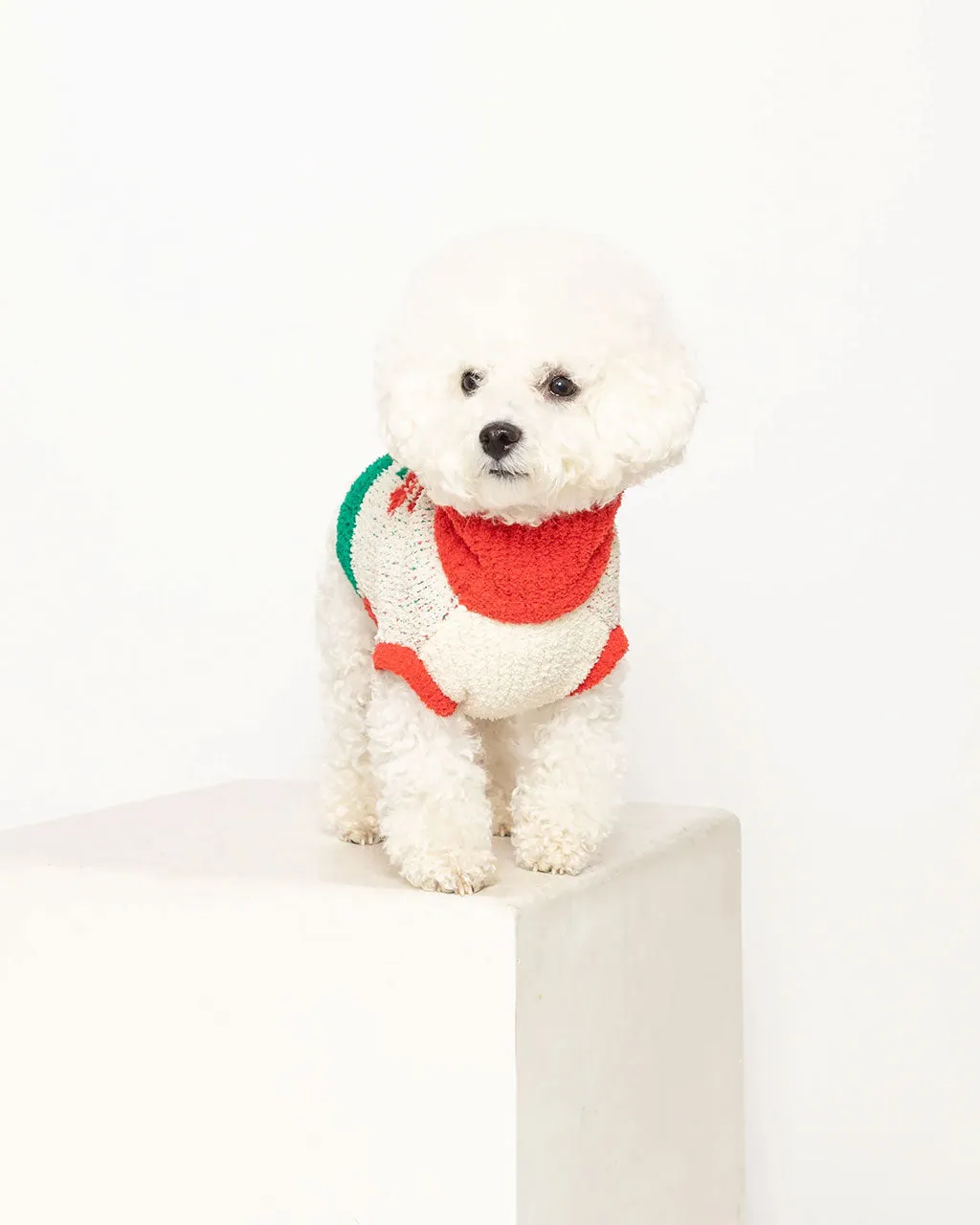 Flower Pet Sweater