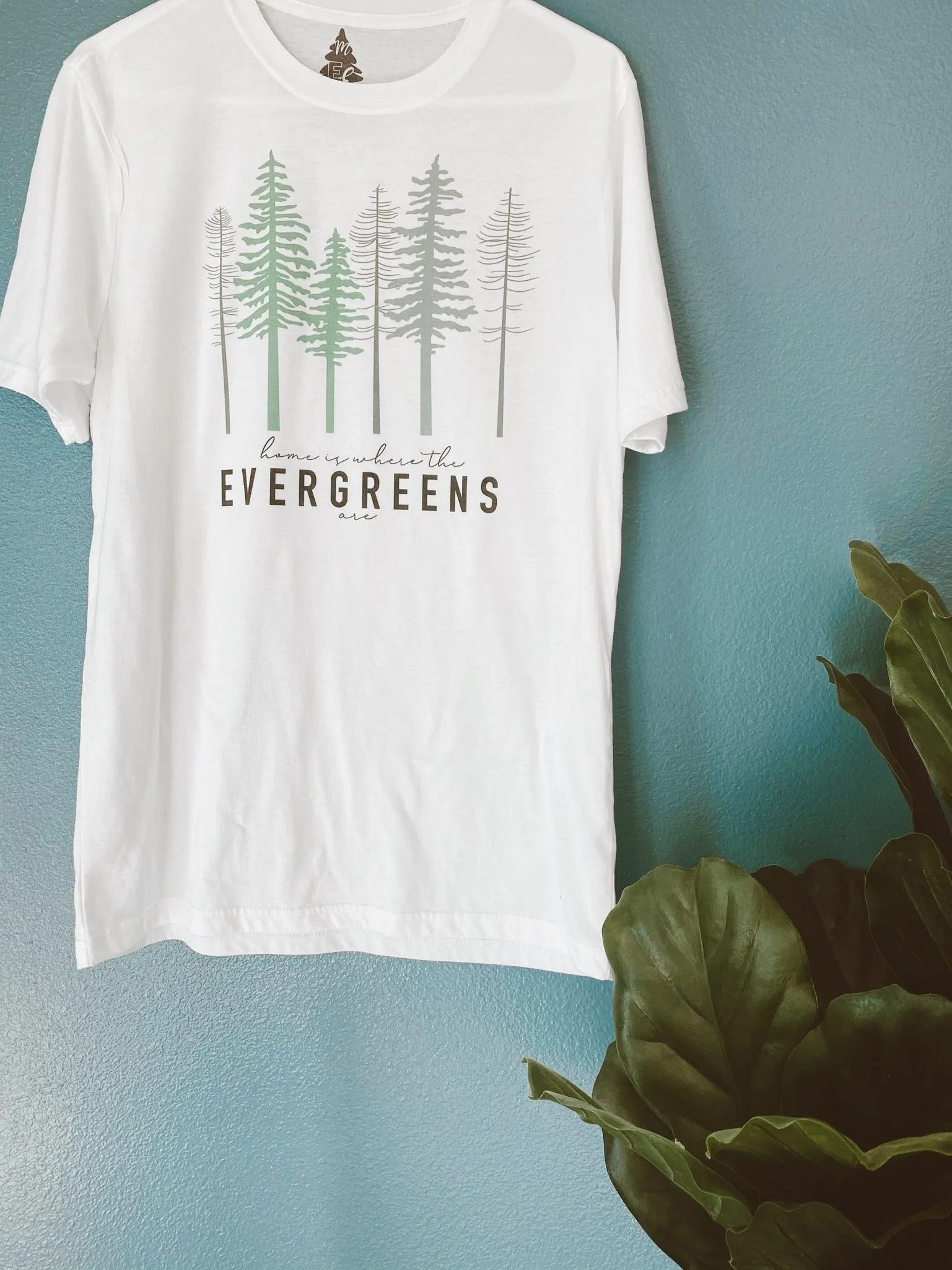 Home Is Where The Evergreens Are
