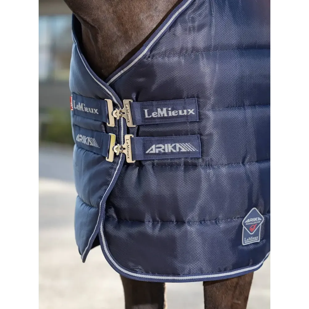 Lemieux Arika Stable-Tek 200g
