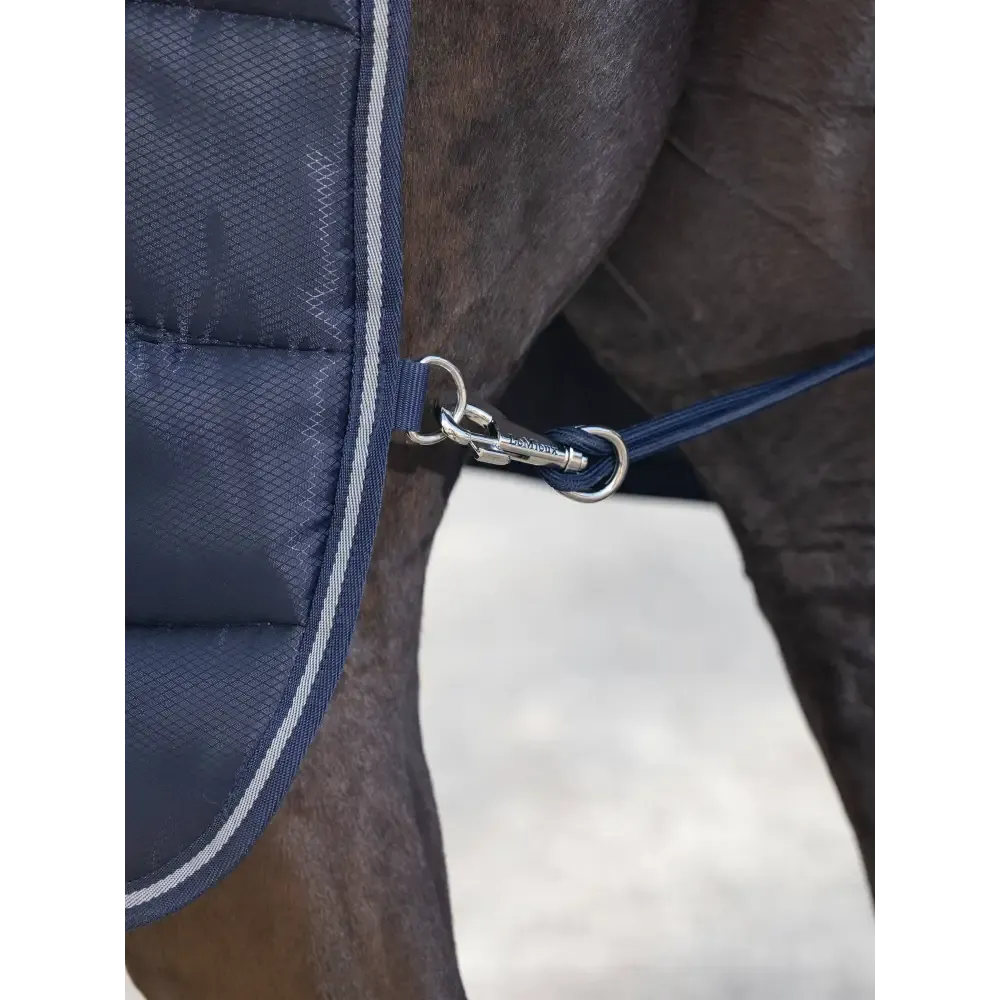 Lemieux Arika Stable-Tek 200g